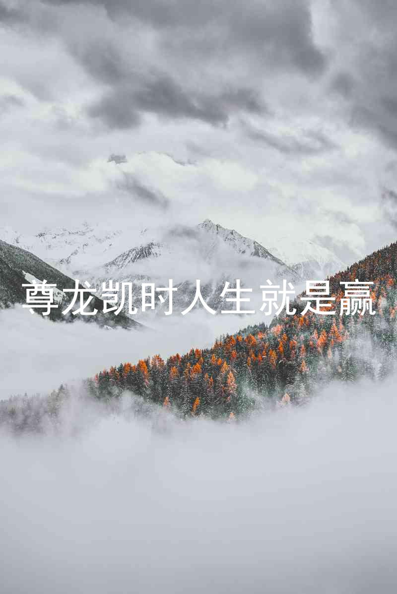 尊龙凯时人生就是赢