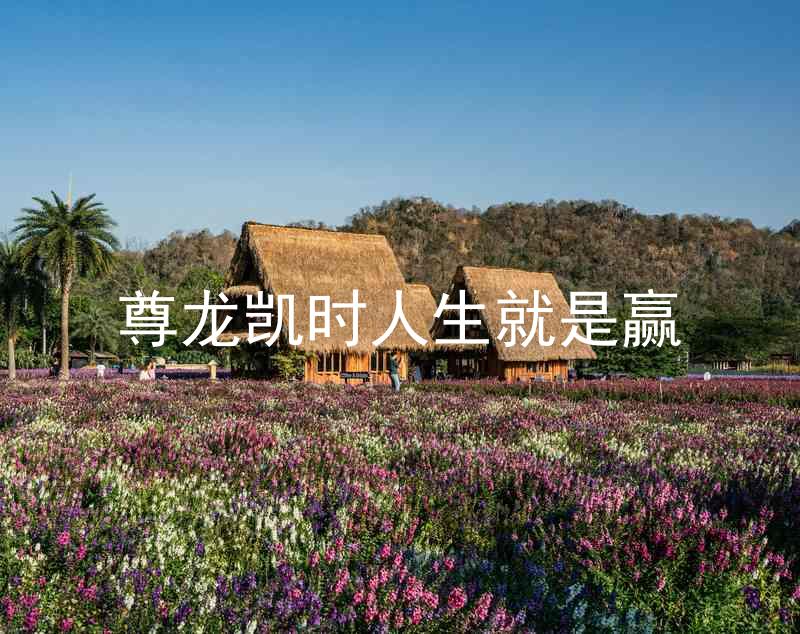 尊龙凯时人生就是赢